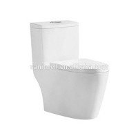 Simple Unique Architectural One Piece Rimless Toilet for Multifunctional Use With Watermark Toilet Seat