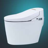 no water tank siphonic one piece big toilet bowl smart toilet