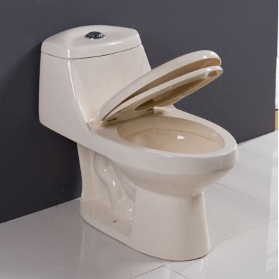 SR-1001 sanitaryware  ceramic WC one Piece S trap chinese wc blue  toilet free test cost 08615689156892