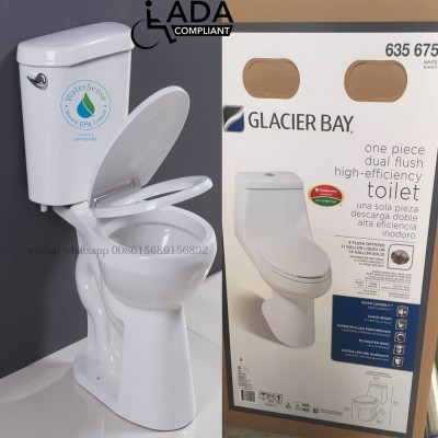 SR-13A china Flushing Function Ceramic Intelligent Wc Toilet  008615689156892